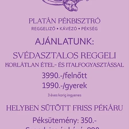 Leitner Ház Alloggio in famiglia