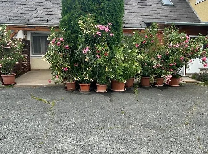 Homestay szállás Leitner Ház Balatongyörök